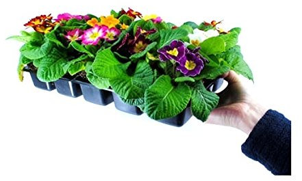 Linic 5 x 15 Cell Full Size Seed Tray Inserts. Quality Rigid Plastic. (X1260) Free UK Postage