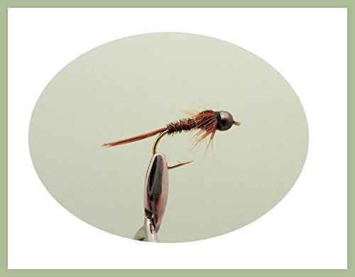 6 Pack of Tungsten Bead Pheasant Tail Nymph Trout or Grayling Fishing Flies, Choice of Sizes (12/14)