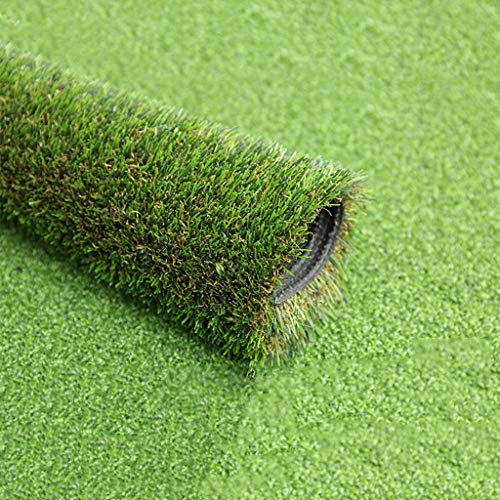 Kunstrasen, 2,5 cm Florhöhe Synthetic Turf Thick Rasen Pet for Teppich Fußmatte Indoor Outdoor-Landschaft (Size : 79x118in)