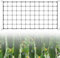 Zikenis Wachsen Zelt Netz,Scrog Netz 60 x 120 cm,Elastisches Mesh Zelt Ranknetz,Grow Netz mit 4 Haken,für GemüSe-,Obst-Und Blumenpflanzen Verwendet,für Hof,Gartenarbeit,Garten,Balkone