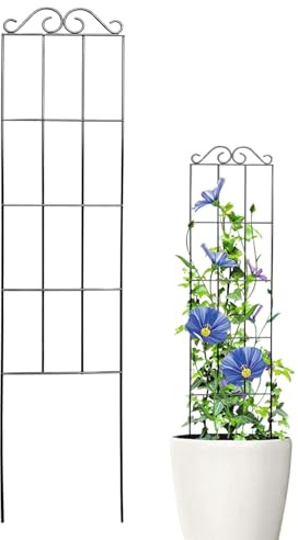 Trellis-Pflanzen Indoor - Indoor-Garten Gartenkäfig Kletterpflanzenkäfig | Tür des Rahmens für Blumentopf für Schrauben von Zimmerpflanzen Balkon leichte Spalier für dec