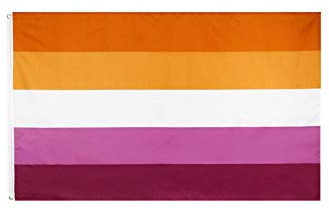 stormflag Drapeau homosexualité des lesbiennes (90 cm x 150 cm) en polyester 90 g avec œillets cousus avec double aiguille.