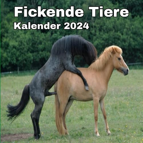 Fickende Tiere Kalender 2024: lustige Geschenke
