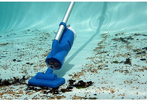 Catfish Pool Blaster Poolreinigung