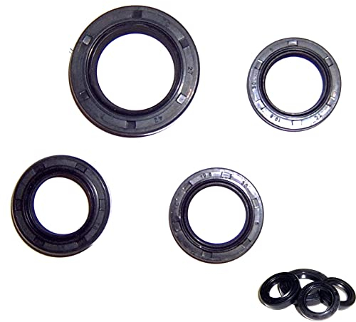 WELLENDICHTRING / SIMMERING SET f. KURBELWELLE MOTOR z.B.für BAOTIAN SARO SPORT AGM GMX BENZHOU YIYING YY50T FLEX TECH HUATIAN HYOSUNG BUFFALO WIND MOTINO BENERO EPPELLA GMX JINLUN JMSTAR KREIDLER YIBEN ZNEN KARCHER KYMCO MOTORROW THURBO PEUGEOT JINAN QINGQI REX RS SACHS SUKIDA FOSTI XINLING XINTIAN KINROAD XT50T ZHONGSHEN ZHONGYU CHINA ROLLER GY6 ...50-80cc