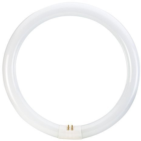 Leuchtstoffröhre Triphosphor 32 W T9 230 V Tageslicht 6500 K 2150 lm