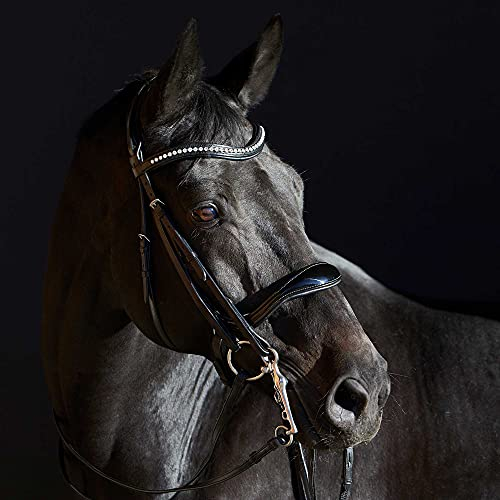 Kieffer - Kandarenzaum Ultrasoft Amy