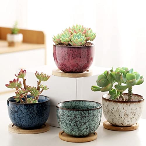 Gelory Vasi per piante grasse, 9,5 cm, piccoli vasi per piante grasse, con foro di drenaggio, vasi da fiori in ceramica e piattini in bambù, per piante di cactus da interni, set da 4