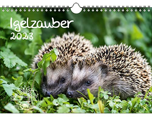 Igelzauber DIN A4 Kalender für 2023 Igel - Seelenzauber, mehrfarbig, KN2023-4W-0088-D-0