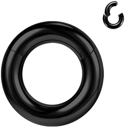 BodyAce Schwarz Segmentring Nasen Clicker 2G 4G 6G 8G 10G 12G PA Rings BCR | Helix Tragus Barbells Chirurgenstahl Nasenring Septum Piercings Schmuck