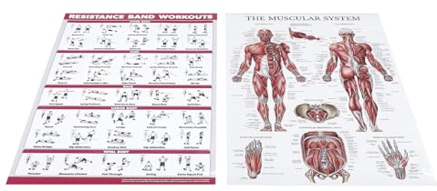 Widerstandsband-Trainingsposter-Set, Klare Visuelle Anleitung für Effektives Ganzkörpertraining mit Umfassendem Muskelsystem, Anwendbar für Studios, Heim-Fitnessstudios,