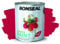 ARUUJ - Garden Paint, Fence Paints, Weather Resistant Outdoor Matt Paints, Water Based Paint For Sheds, Metal, Terracotta, Easy to Apply, Long-Lasting Colour & Protection (Moroccan Red, 750ML)