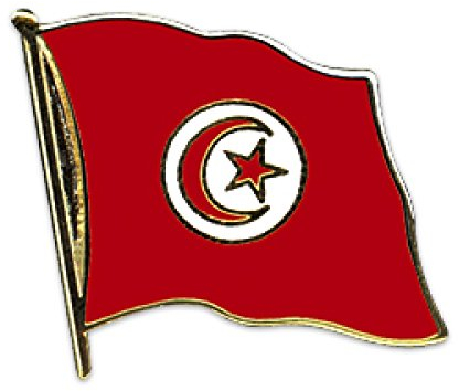 Flaggen-Pin vergoldet : Tunesien