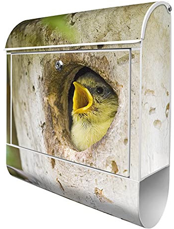 banjado® Design Briefkasten mit Blaumeise 38,5x46,5x13cm & 2 Schlüssel - Briefkasten Stahl weiß mit Zeitungsfach pulverbeschichtet - Postkasten A4 Einwurf inkl. Montagematerial
