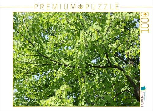 CALVENDO Puzzle Katsura-Baum | 1000 Teile Lege-Größe 64 x 48 cm Foto-Puzzle für glückliche Stunden