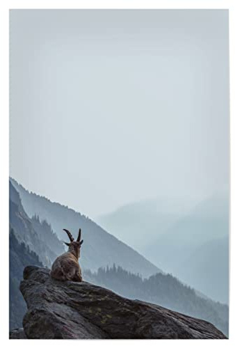 artboxONE Poster 30x20 cm Poster Natur Animal in The Mountain - Bild Animal Layers Mountain Mountain