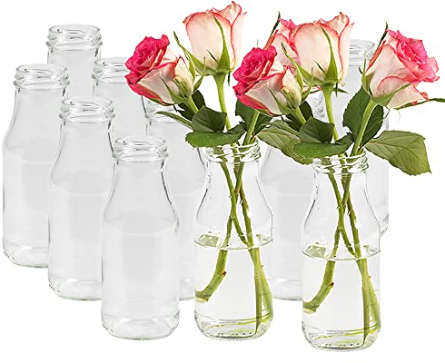10 Stück Runde Mini Vasen Typ 263 Glasfläschchen kleine Dekoflaschen Flasche Väschen Vase Glasflaschen Blumenvase (10 Stück)