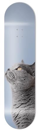 Brett aus Aluminium in Form eines Skateboards, für Wanddekoration, britische Kurzhaarkatze, für eine originelle Dekoration (nur Board)