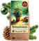 Little Plants Weihnachtsbaum Anzuchtset - Christbaum, Adventskalender Füllung, Wichtelgeschenk, Weihnachtsbaum in der Dose, Adventskalender befüllen Inhalt, Tannenbaum Geschenk Set (Variante 5)