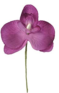 SANTEX 2867-17, Sachet de 6 orchidées avec tiges, prune