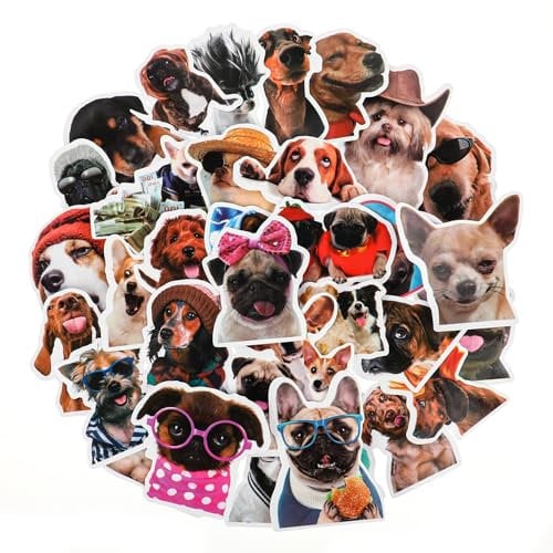 100 Stück Lustige Meme Sticker Meme Aufkleber Niedliche Hund Aufkleber Wasserdicht Vinyl Kawaii Tier für Auto Laptop Skateboard Fahrrad Motorrad Fahrrad Computer Gepäck Stoßstange Kühlschrank Gitarre