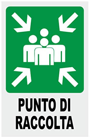 CARTELLO SEGNALETICO - PUNTO DI RACCOLTA - Con Adesivo in Vinile e Pannello in Forex (Adesivo)