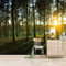 3D Tapete Sonnenschein Im Wald 150x100cm Vlies Tapeten Moderne Wanddeko Wandtapete xxl Design Wand Dekoration Wohnzimmer Schlafzimmer Büro Flur Landschaft