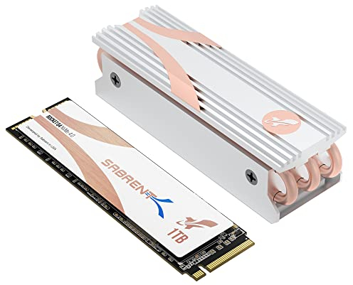 SABRENT M.2 NVMe SSD 1TB with Heatsink Gen 4, Internal Solid State 4700 MB/s Read, PCIe 4.0 2280, M2 Hard Drive High Performance Compatible with NUCs, Laptops and Desktops (SB-RKTQ4-HTSS-1TB)