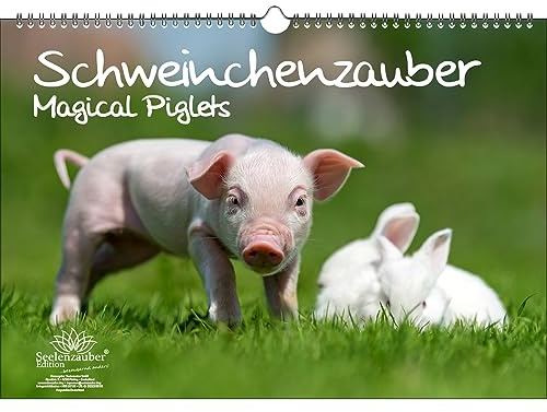 Schweinchenzauber DIN A3 Immerwährender Kalender Schweinchen - Seelenzauber