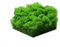 Moospaneel Hexagon - Kork Pinnwand Elemente - Mooswand - Moosbild (1x Moospaneel)