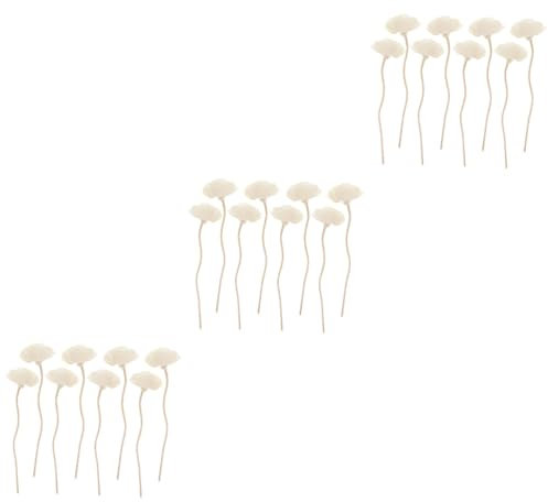 QUMIIRITY 24stücke Aromatherapie Rattan-stäbchen Teiliges Duftstäbchen Für Ätherische Öle Zur Raumerfrischung Wohnzimmer Küche Bad Und Büro Für -düfte