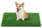 PICK FOR LIFE Dog Artificial Grass Mats for Replacement, Pet Pee Fake Grass for Potty Training, Perfect for Indoor Outdoor Use (50 x 100 cm)