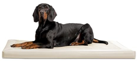 tierlando® Orthopädische Hundematratze Carlos VIP Ortho-Medic Hundematte aus Kunstleder und Velours mit Visco Memory Foam, Größe: 80x60cm | Farbe: 05 Creme