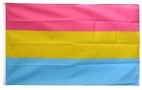 Flaggenfritze® Flagge Pansexuell - 90 x 150 cm