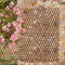 A2Z Home Solutions Lovely Addition Garden Outdoor Expanding Willow Trellis Screening Fences Divider Climbing Plants Support Panel - 180x60cm (10 cm spacing)- Brown