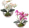 BREUAILY 2Pcs Künstliche Orchideenblumen Phalaenopsis Bonsai Kunstpflanze Orchideen Künstliche mit Übertopf für Hochzeit Deko Tischdekoration Wohnkultur(Violett + Weiß)