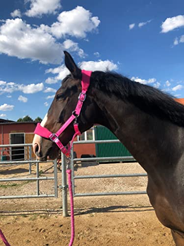 Halfter Kaltblut gepolstert| Halfter für Pferde xfull | mit Fleece | Halfter für Pferde schwarz | 2 Fach verstellbar (Pink, Warmblut)