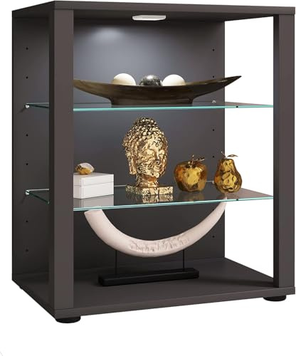 VCM Standvitrine 52x35x60 cm 2 Türen 3 Fächer Präsentationsvitrine | Offene Ausstellung von Deko und Sammlerstücken - Wohnzimmer oder Büro - für Sammler und Deko-Fans - Serie Glasol