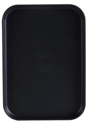 Rectangular Storage Tray 24cmx17.3cmx1.5cm Plastic Organizer Plate Decorative Storage Tray for Home Hotel Restaurant Organizer, Black