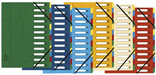 Exacompta - Ref 5312E - Harmonika Multipart File - 24.5 x 32cm in Size, Suitable for A4 Documents, 12 Multi-Coloured Tabbed Sections, Premium Pressboard Cover - Assorted Colours
