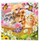 3D LiveLife Grußkarte - Kitten Fun Time von Deluxebase. Bunte Cat Linsenförmig 3D-Karte für jeden Anlass und jedes Alter. Originalvorlage lizenziert von dem bekannten Künstler Micheal Searle