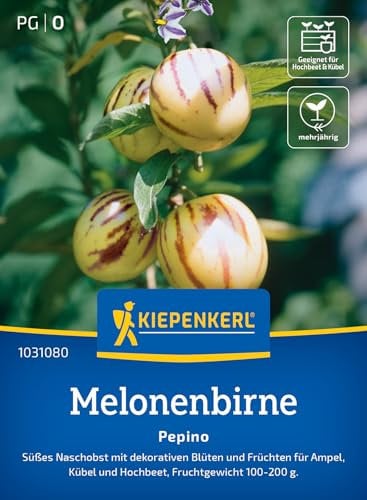 Kiepenkerl Pepinosamen Melonenbirne 1031080 – süßes Naschobst - dekorative Blüten und Früchte - 100-200g - Saatgut, Samen Gemüse, Gemüsepflanzen
