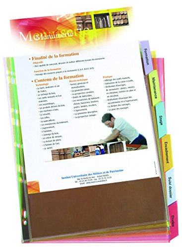 Elba Hüllen/Trennblätter 6 Tabe aus PVC 9/100e Format A4+