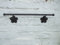 Handtuchstange, Wandhandtuchhalter, Wandleiste, Eisen, Landhausstil