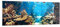 Panorama Bilder auf Glas Ozean Riff Fische Koralle Glasbild 140x50cm Wandbilder Dekoration Wohnzimmer Schlafzimmer Küche Groß XXL Wanddeko Bild im Glas Wand Kunstdruck Art Modern GAB140x50-2872