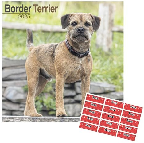 Border Terrier Kalender 2026 | Hunderasse Kalender | 16 Monate | mit Organisationsaufklebern