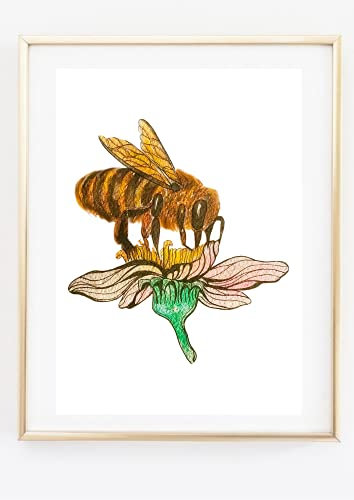 Din A4 Kunstdruck ohne Rahmen - Biene auf Blume - Honigbiene Bienen Imker Geschenk Druck Poster Bild Geschenk