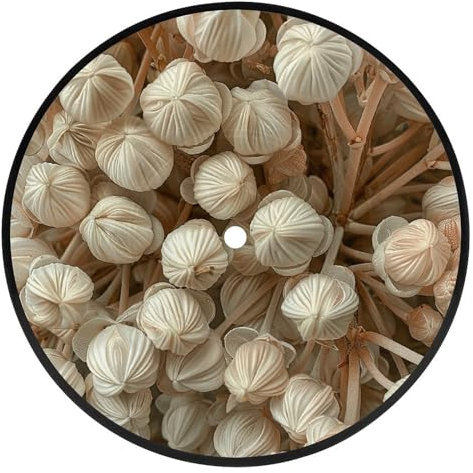 Schallplatten-Untersetzer für Getränke, CD-Untersetzer, riesige weiße Zypresse, runde Untersetzer, saugfähig, rutschfest, hitzebeständig, Vinyl-Scheiben-Untersetzer für Bar, Party, Heimdekoration