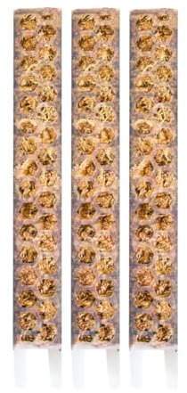 3 Stück Matter Moosstab S (30cm) für Aroide Zimmerpflanzen (Monstera, Philodendron, Alocasia, Epipremnum, usw.) Rankhilfe, Zubehör, Mosspole für kletternde Pflanzen Kletterpflanzen Befestigung