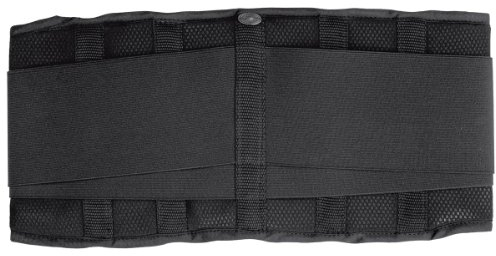 Held Alamo Nierengurt, Größe 90 cm